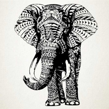 Elefante