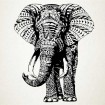 Elefante